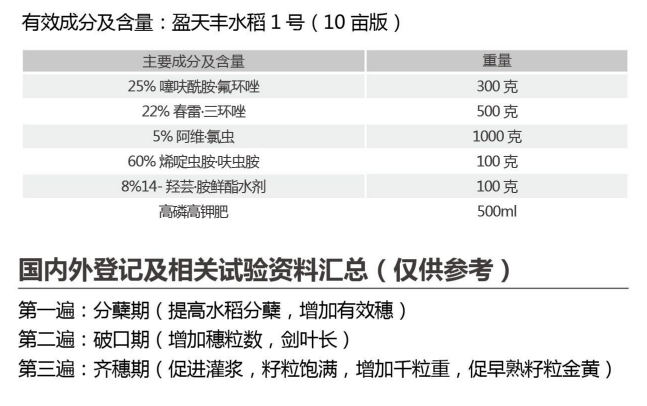 盈天豐水稻1號